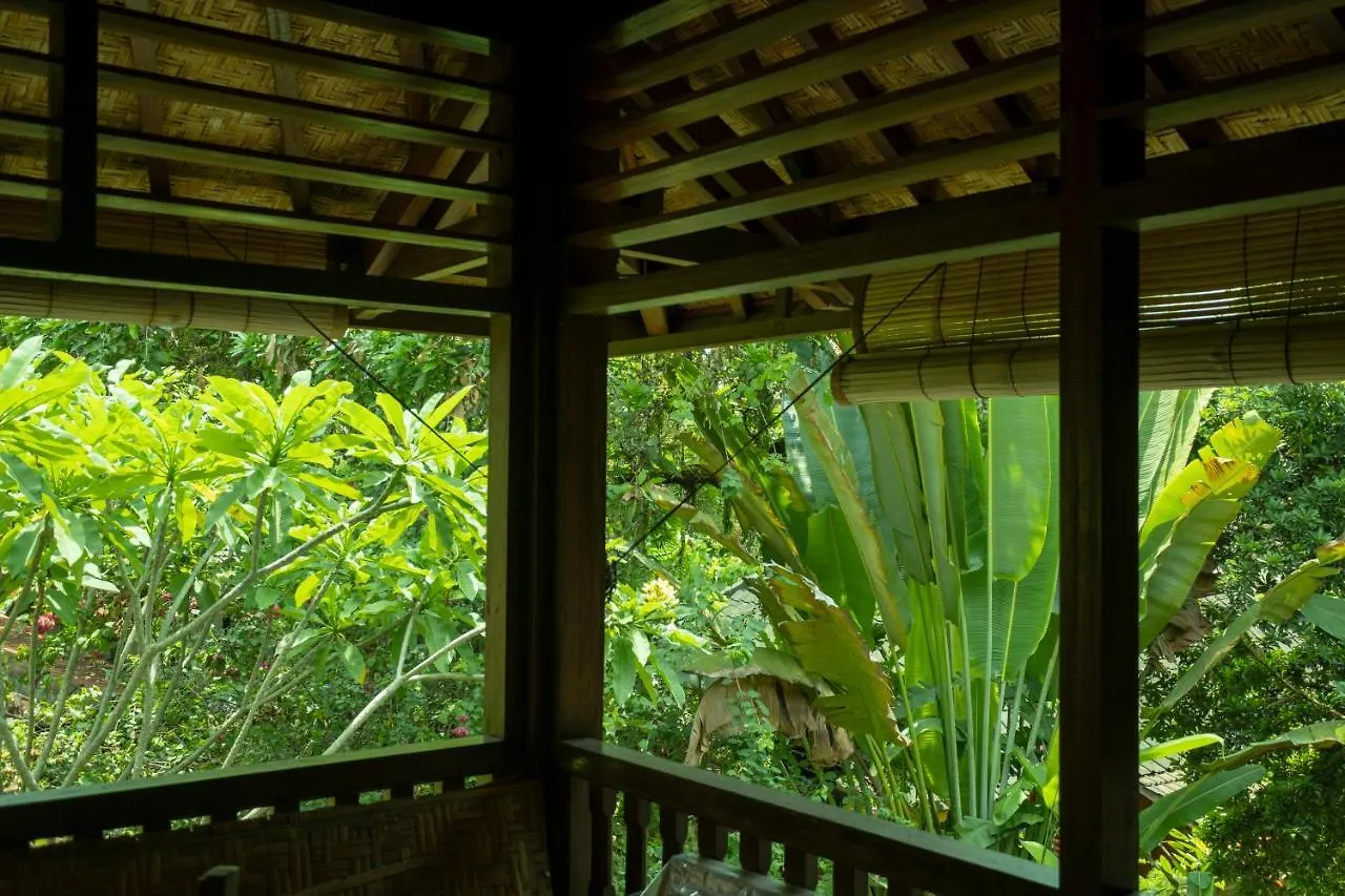 Murni'S Houses & Spa Ubud  4*, Ubud (Bali)
